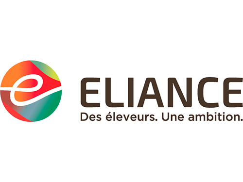 Eliance_500x400