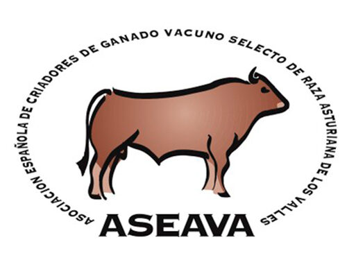 ASEAVA_500x400